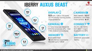 iBerry Auxus Beast infographic