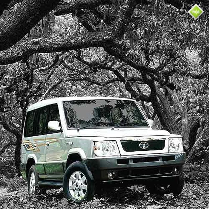 Sumo Victa Showing Sumo Victa 6 Jpg