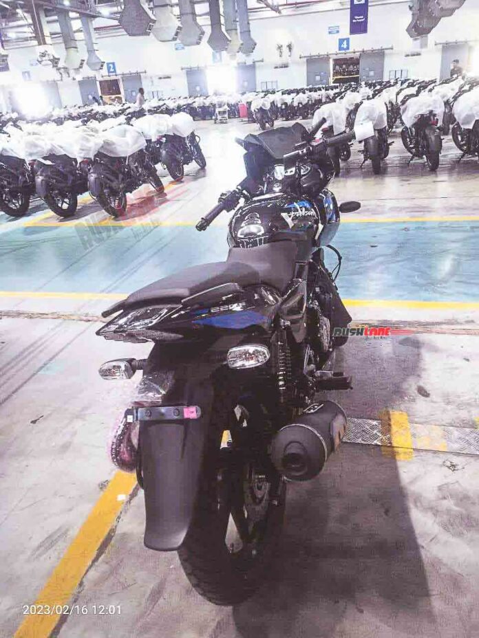 2023 Bajaj Pulsar 220F Spotted in Black With Blue Graphics - Live Photos - midground