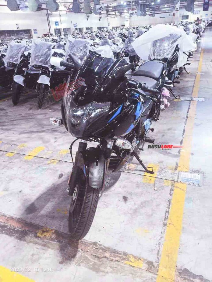 2023 Bajaj Pulsar 220F Spotted in Black With Blue Graphics - Live Photos - closeup