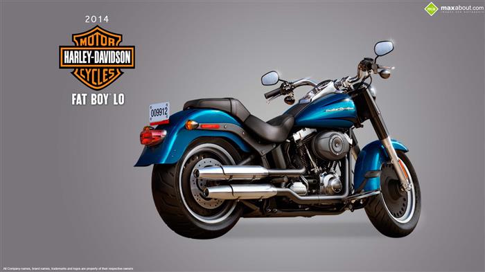 2014 Harley Davidson Fatboy Lo