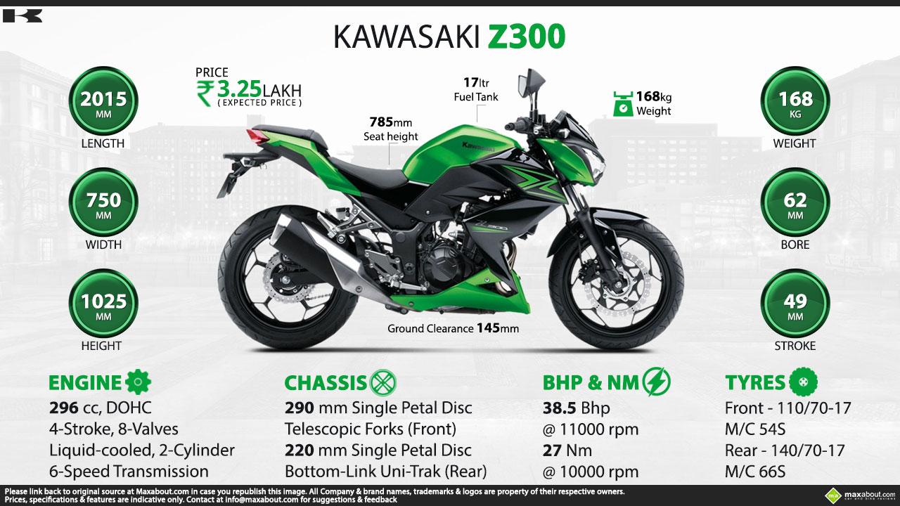 Kawasaki Z300 - Showtime