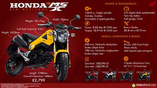 Honda MSX-125 infographic