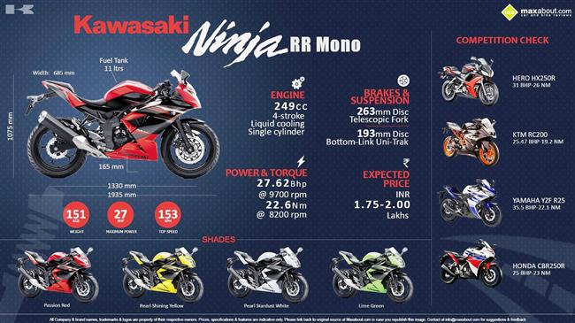 Must Know Facts about the Kawasaki Ninja RR Mono infographic