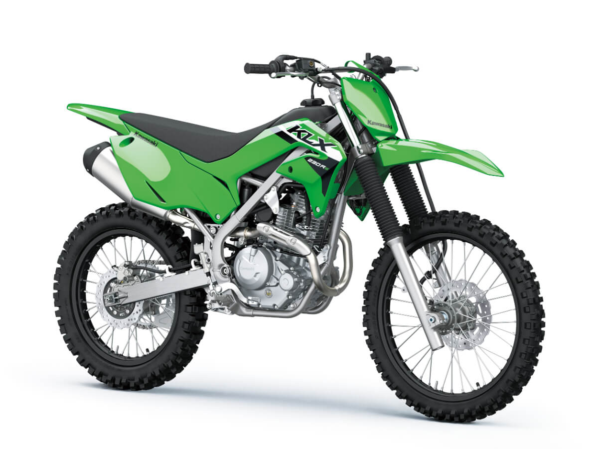 New 230cc Kawasaki Motorcycle Launched in India at Rs 5.21 lakh - picture