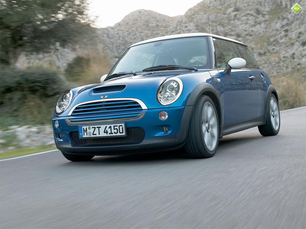 Cooper - Showing coopers_02.jpg