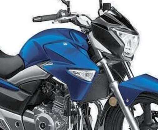 suzuki gw250z
