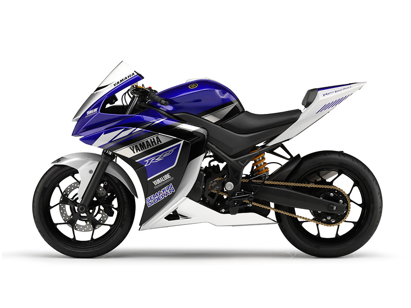 Yamaha YZF-R25 Side View