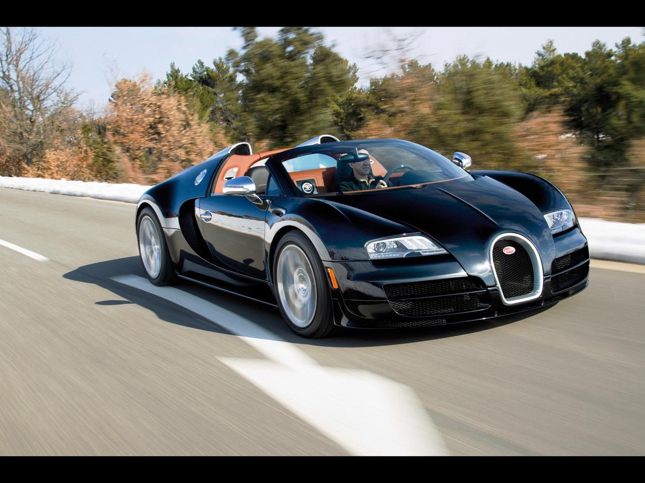 Bugatti Veyron Grand Sport Vitesse - Showing Bugatti Veyron Grand Sport 