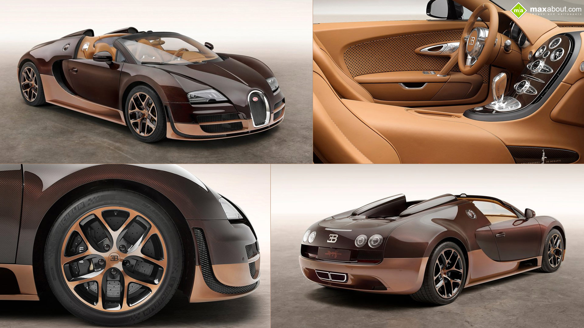 Bugatti Veyron 'Rembrandt Bugatti'