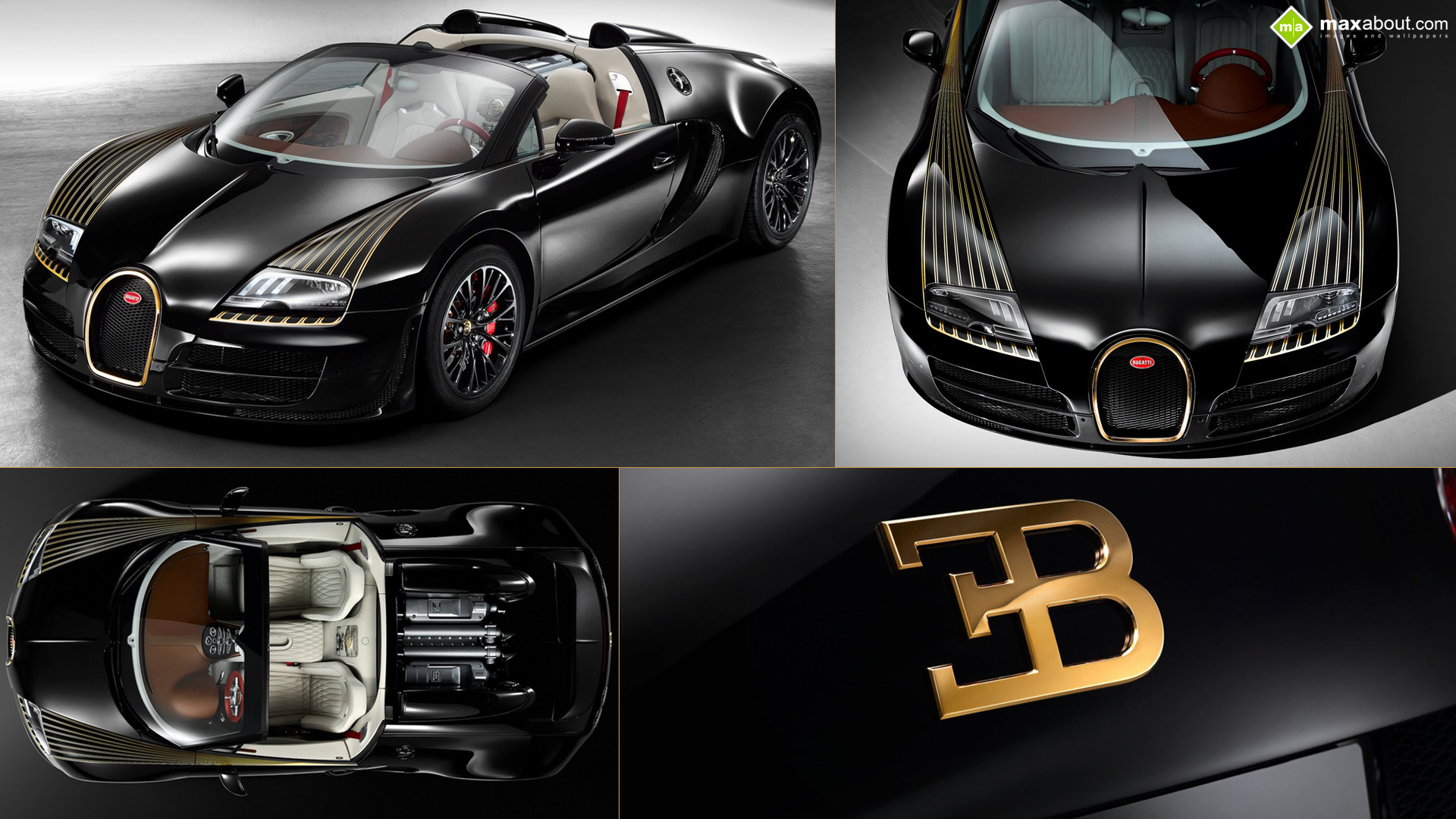 Bugatti Veyron Black Bess