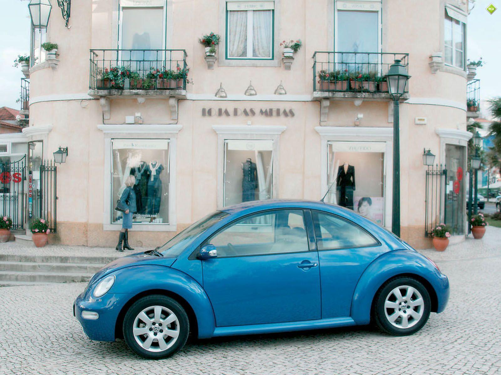 Beetle Side View