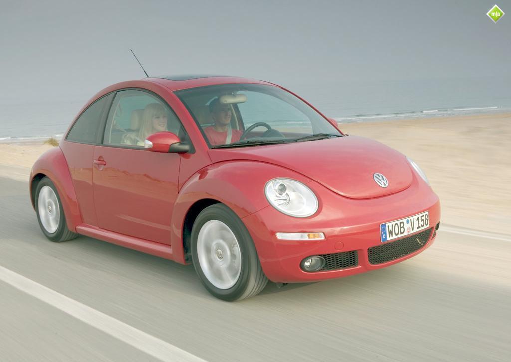 New Beetle - Showing New_Beetle_230209_6.jpg