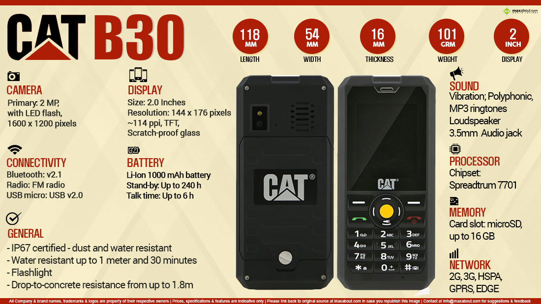 Quick Facts Cat  B30 